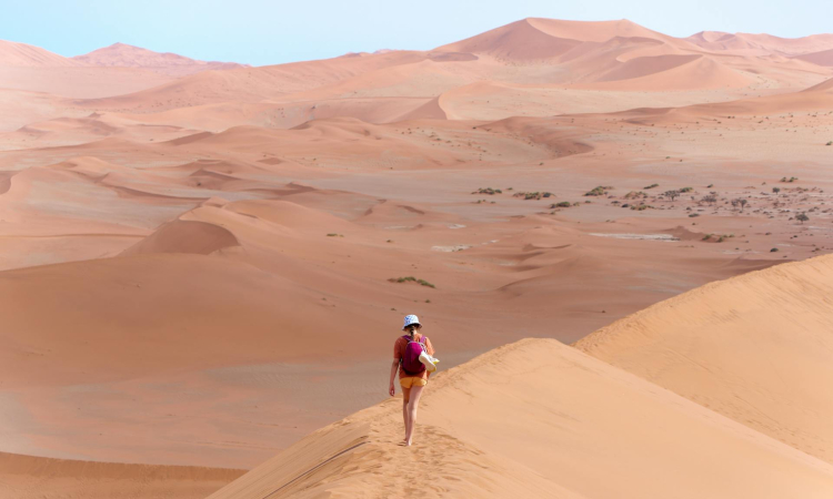 6-Day Namibia Safari Tour - Etosha, Swakopmund & Sossusvlei Adventure