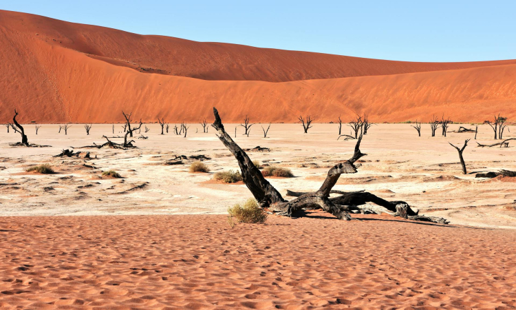 6-Day Namibia Safari Tour - Sossusvlei Desert & Etosha National Park