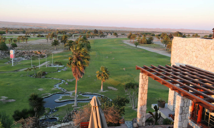 Rossmund Golf Estate Breakfast Tour - Morning Desert Ride from Swakopmund
