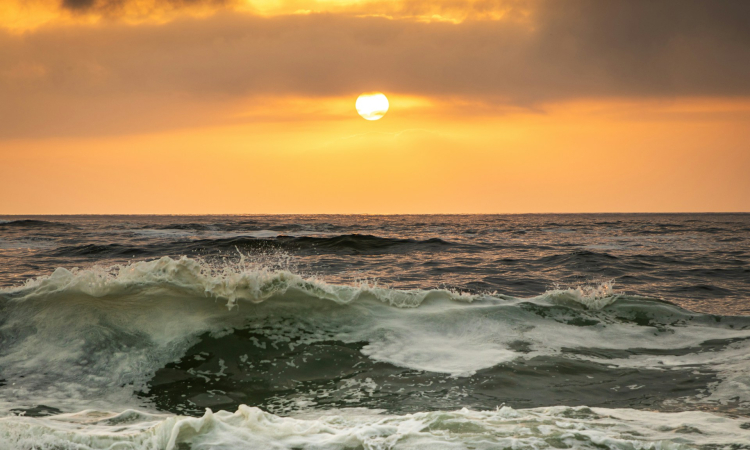 Swakopmund Biodiversity, Ecosystem & Geography