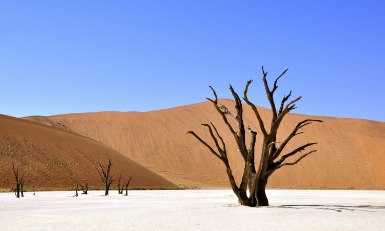 Namib Desert - Best Time To Visit, Travel & Tourism Guide