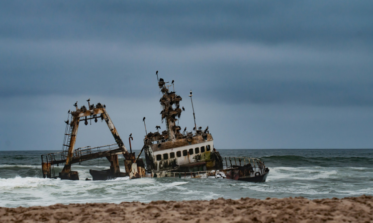 Skeleton Coast Day Tours