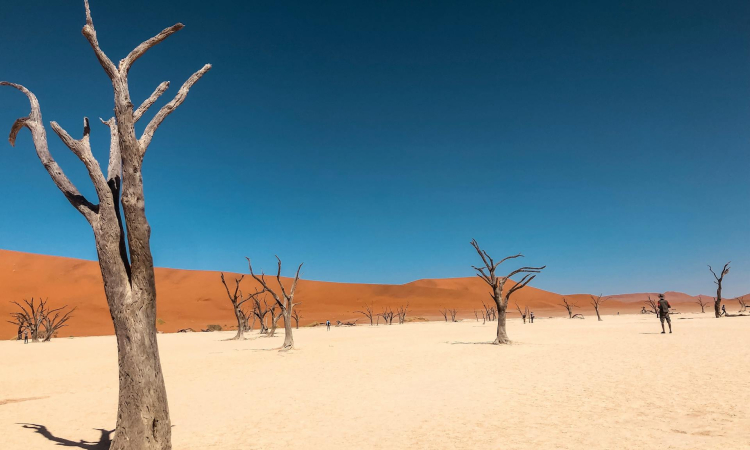 Sossusvlei Tour from Swakopmund